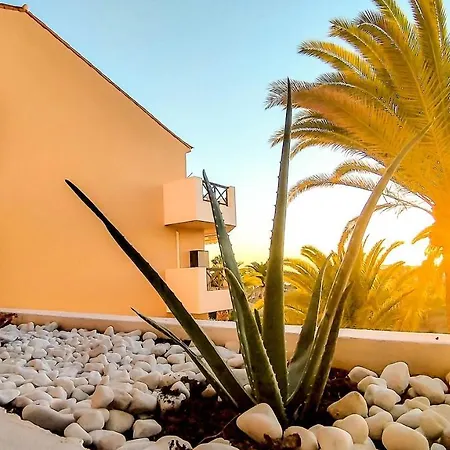 Apartment Albatros Sunset View San Miguel de Abona